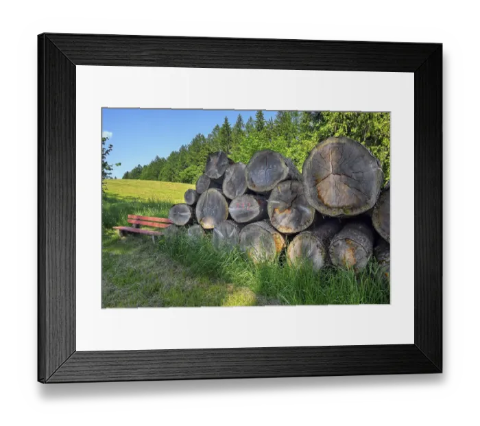 Framed Print : Stacked tree trunks at the edge of the forest Framed Print : Stacked tree trunks at the edge of the forest