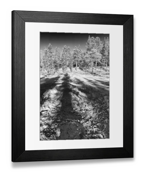 Framed Print : Winter landscape, Gallivare