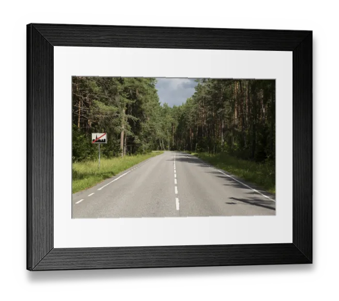Framed Print : Tree stump with cairn in the forest Framed Print : Tree stump with cairn in the forest