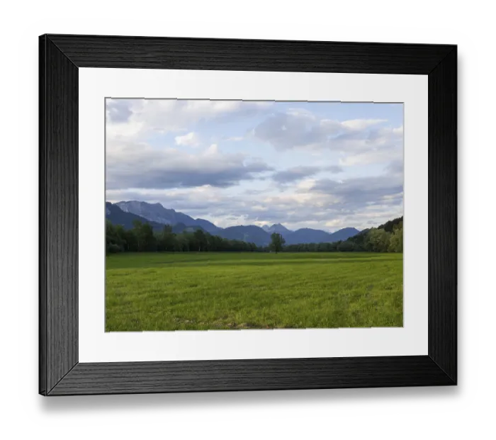 Framed Print : Tree in a meadow, mountain peak behind