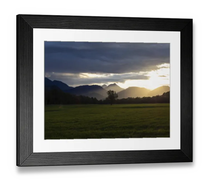 Framed Print : Tree in a meadow, morning light falling on a mountain peak at sunrise