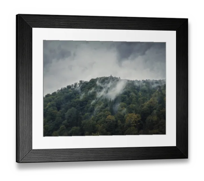 Framed Print : Peaceful fall scene with foggy clouds moving through the mixed forest on the top of a hill in a gloomy day Framed Print : Peaceful fall scene with foggy clouds moving through the mixed forest on the top of a hill in a gloomy day