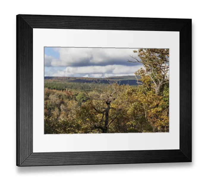 Framed Print : View of the Selketal in autumn