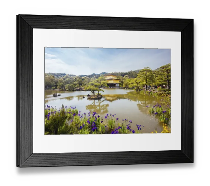 Framed Print : The world famous Kinkakuji Temple (The Golden Pavilion) in Kyoto Framed Print : The world famous Kinkakuji Temple (The Golden Pavilion) in Kyoto
