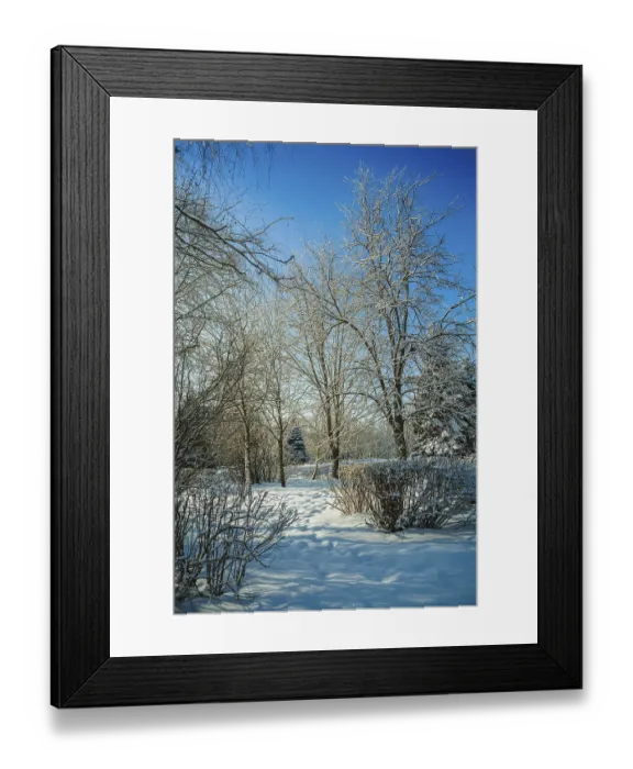 Framed Print : In the winter forest