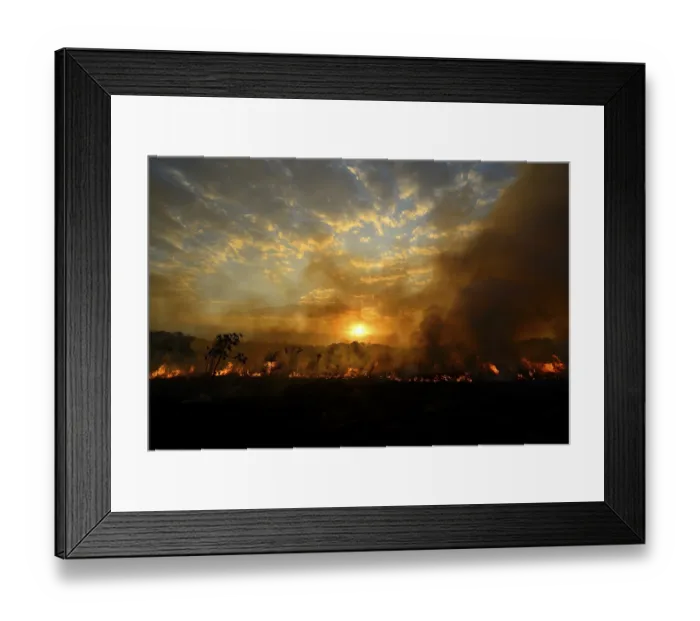 Framed Print : Burning vegetaition in a bushfire at sunset