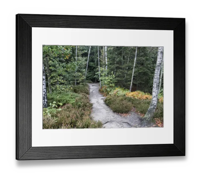 Framed Print : Saxon Switzerland National Park Elbe Sandstone Mountains Bastei