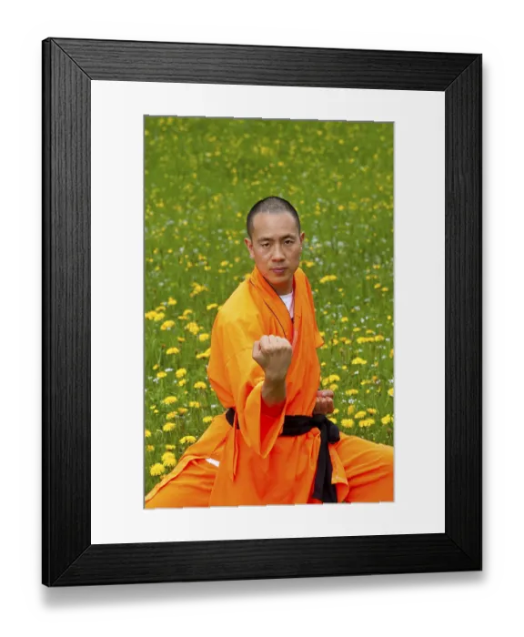 Framed Print : Shaolin Monk, Fighting Stance, Shaolin Monk Framed Print : Shaolin Monk, Fighting Stance, Shaolin Monk
