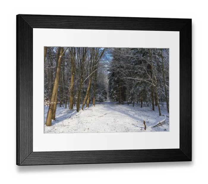 Framed Print : Snow-covered woodland path, Moenchbruch nature reserve