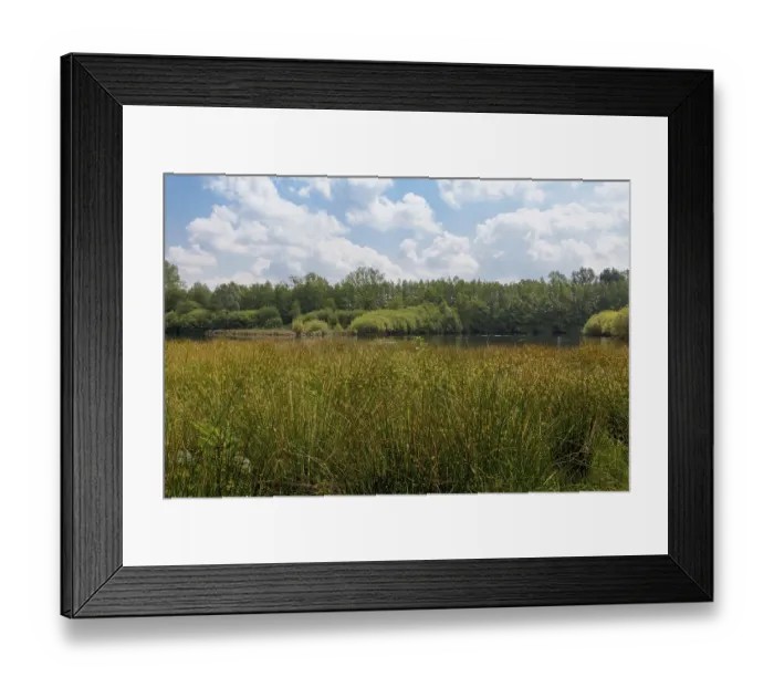 Framed Print : Witte Venn nature reserve, on both sides of the Dutch border Framed Print : Witte Venn nature reserve, on both sides of the Dutch border