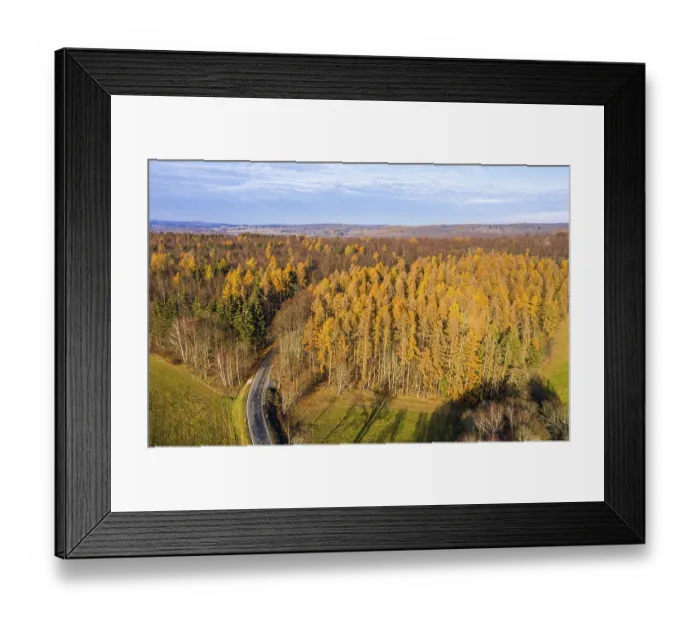 Framed Print : Dying forest in the Harz Mountains Spruce forest Framed Print : Dying forest in the Harz Mountains Spruce forest