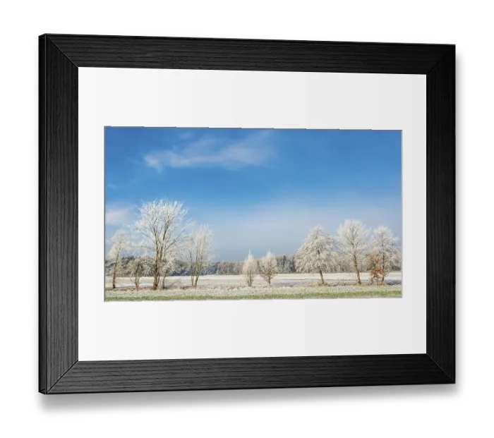 Framed Print : Winter landscape. Frost on trees and grass