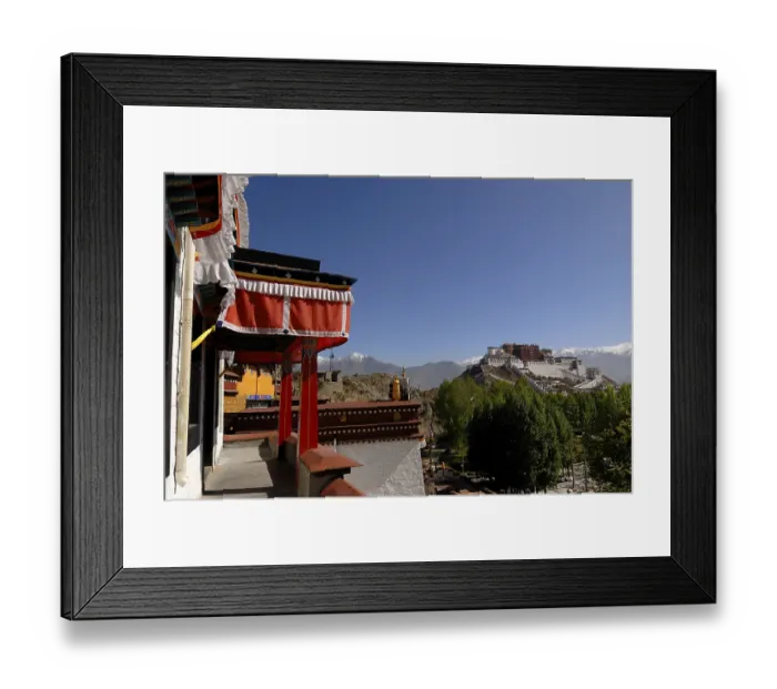 Framed Print : View from the Chokpori to the Potala Palace