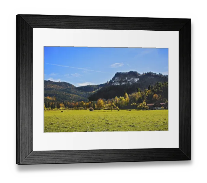 Framed Print : Autumn mixed forest, Jachenau, Bavaria, Germany Framed Print : Autumn mixed forest, Jachenau, Bavaria, Germany