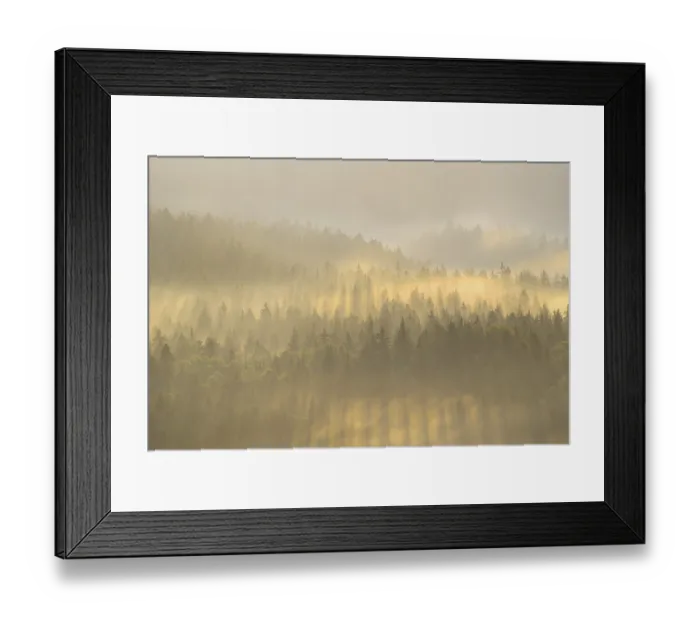 Framed Print : Mist rising from the forest, in the morning