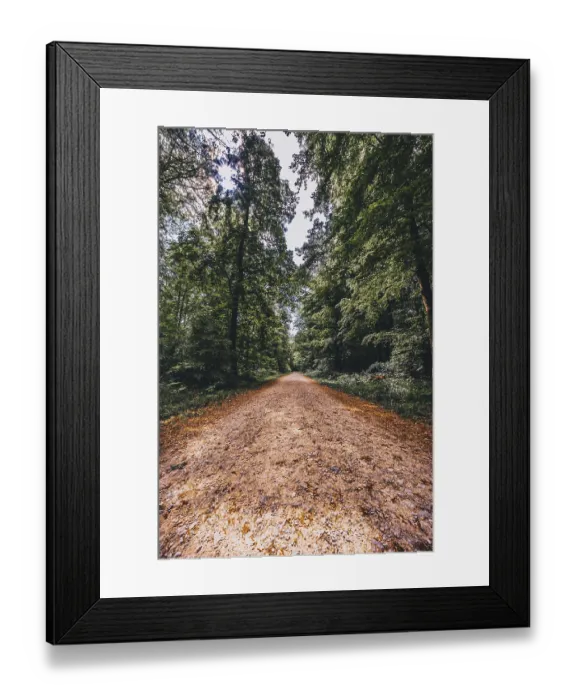 Framed Print : Hiking trail in the forest in the Deister near Hanover Framed Print : Hiking trail in the forest in the Deister near Hanover