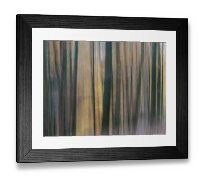 Framed Print : Forest, Impressionistic, Moved