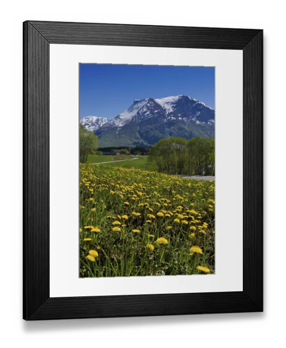 Framed Print : Brulandselva, Snofjellet, Breheimen National Park Framed Print : Brulandselva, Snofjellet, Breheimen National Park