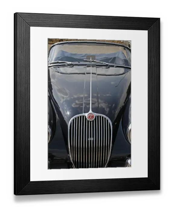 Framed Print : Jaguar Framed Print : Jaguar