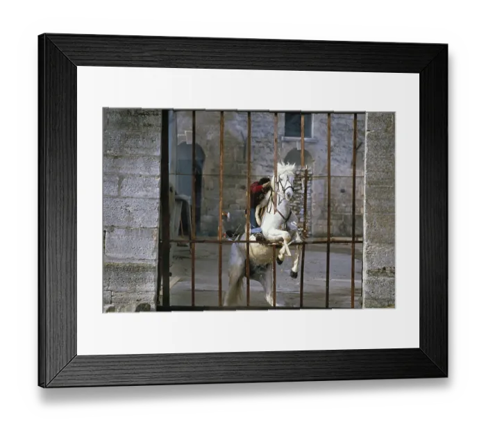 Framed Print : Mario Luraschi Stunt and Horse Show