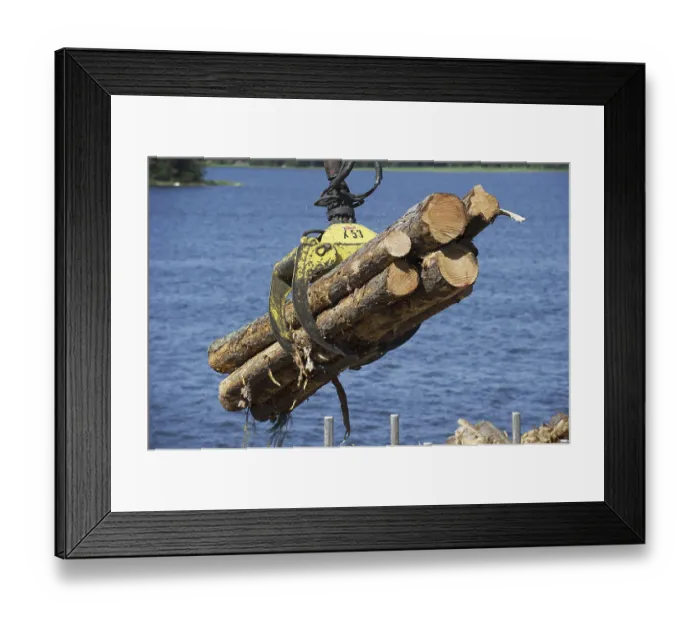 Framed Print : Grapple loading logs onto timber barge