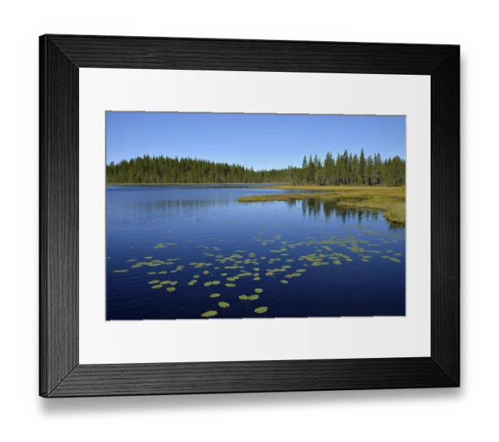 Framed Print : Forest lake, Bortnan, Ljungdalen