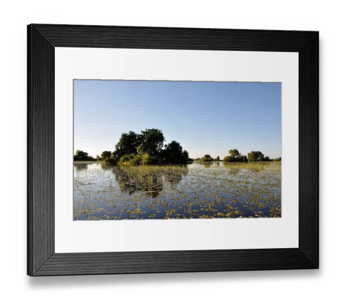 Framed Print : Boat-trip through the Okavango-Delta swamps in the Kalahari-desert