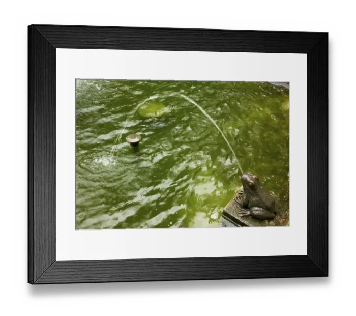 Framed Print : Fountain at Theresienstein with frog motifs