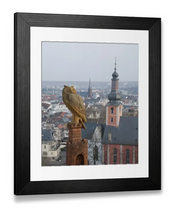 Framed Print : Owl over Bad Kreuznach