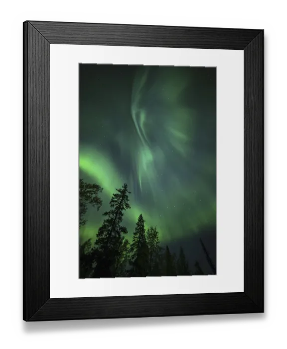 Framed Print : Aurora Borealis and stars over coniferous forest