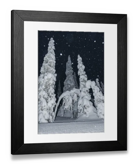 Framed Print : Snowfall in a snow-covered landscape Framed Print : Snowfall in a snow-covered landscape