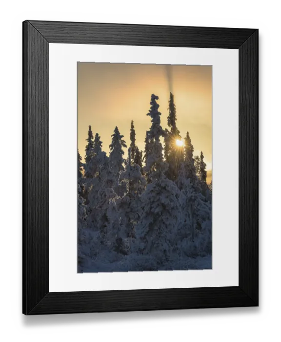 Framed Print : Winter landscape against the light