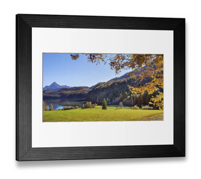 Framed Print : Mixed forest at the WeiBensee near Fussen Framed Print : Mixed forest at the WeiBensee near Fussen