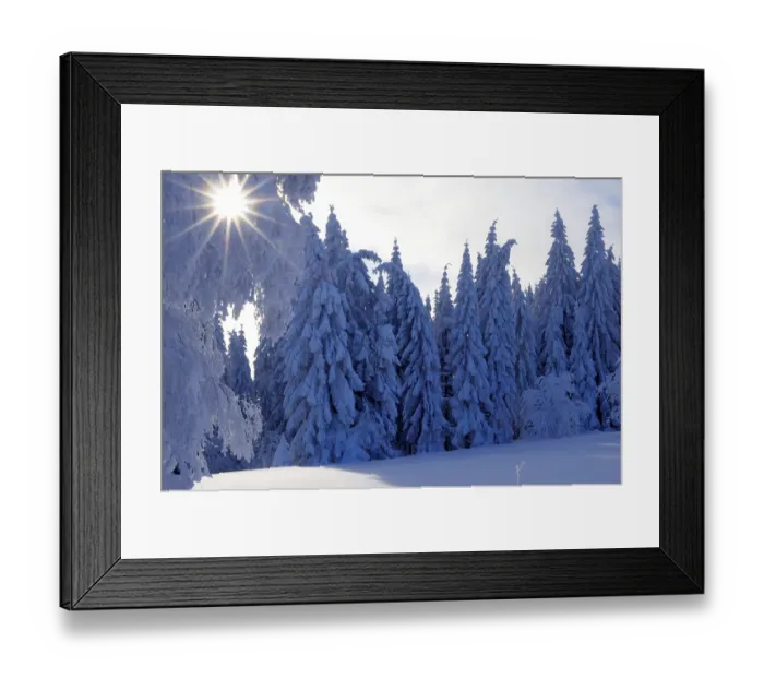 Framed Print : Black Forest in winter, spruce forest Framed Print : Black Forest in winter, spruce forest