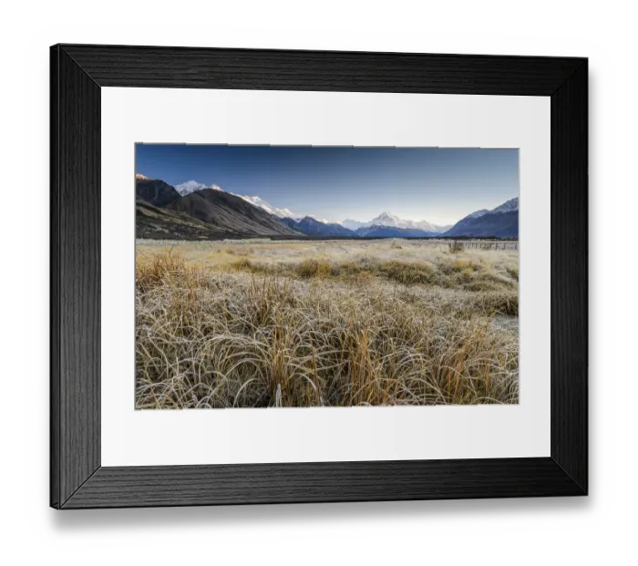 Framed Print : Hoarfrost on dried grass, Aoraki