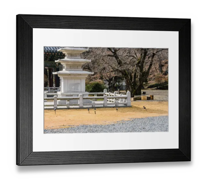 Framed Print : Five story concrete pagoda (only three visible) in concrete enclosure next to barren tree in Buddha temple