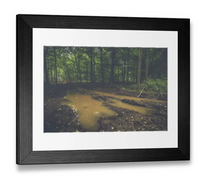 Framed Print : Large puddle in the middle of a forest with green trees Framed Print : Large puddle in the middle of a forest with green trees