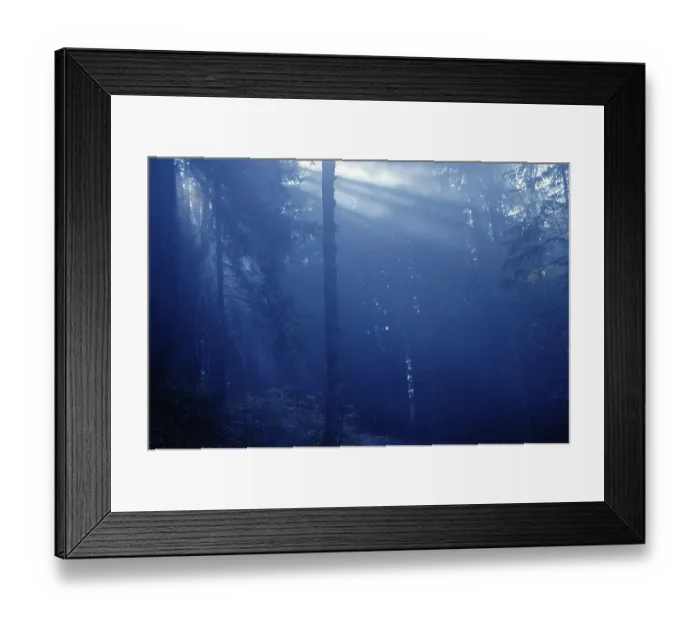 Framed Print : Acre atmosphere in the woods Framed Print : Acre atmosphere in the woods