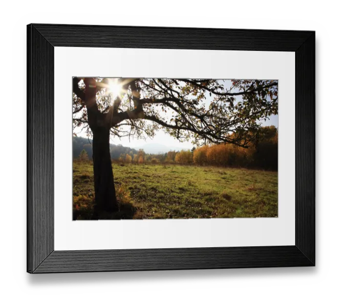 Framed Print : Autumn