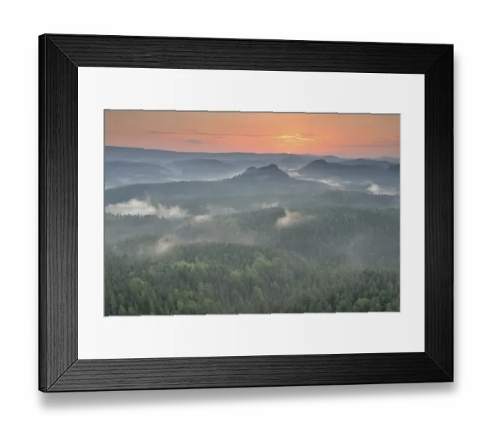 Framed Print : Mist rising from the forest, in the morning