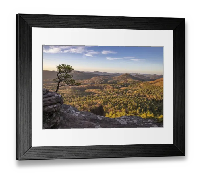 Framed Print : Landscape shot on a sandstone rock in the forest Framed Print : Landscape shot on a sandstone rock in the forest