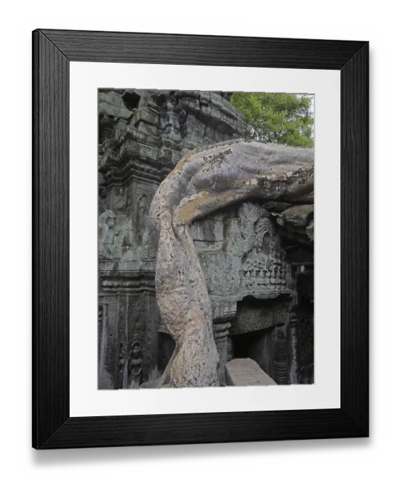 Framed Print : Tree roots grow over the ancient Ta Prohm temple