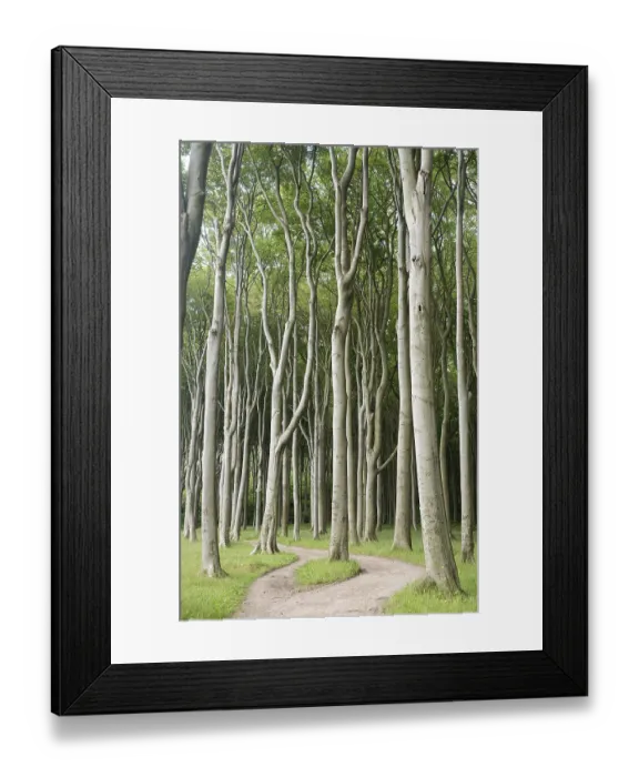 Framed Print : Geisterwald forest in Nienhagen Framed Print : Geisterwald forest in Nienhagen