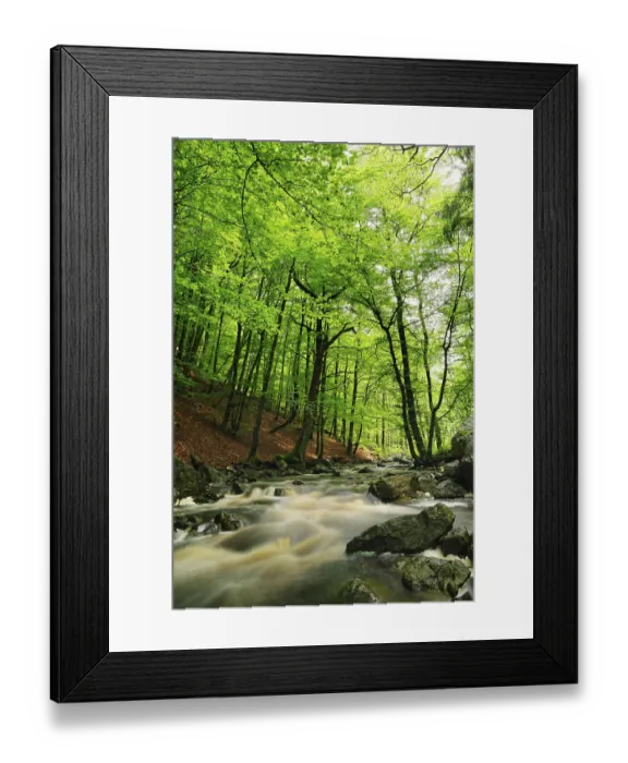 Framed Print : Hoegne stream, High Fens, Ardennes