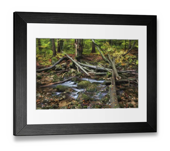 Framed Print : Fallen trees after the storm on a stream in the mountain autumn forest