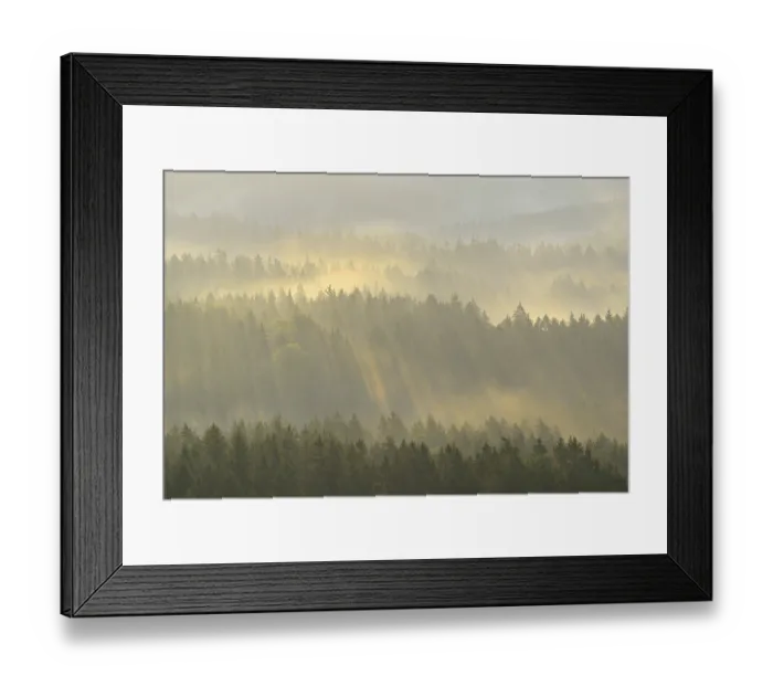 Framed Print : Mist rising from the forest, in the morning