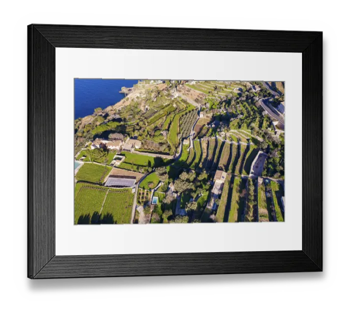 Framed Print : Terraced landscape in Banyalbufar