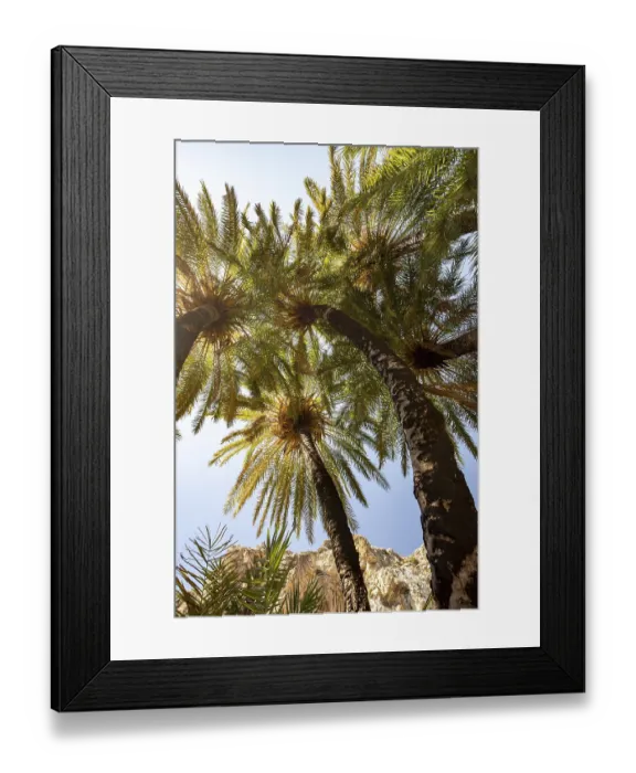 Framed Print : Palm tree in the Preveli gorge in front of a mountain range in Crete; Crete; Greece Palm tree in the Pr