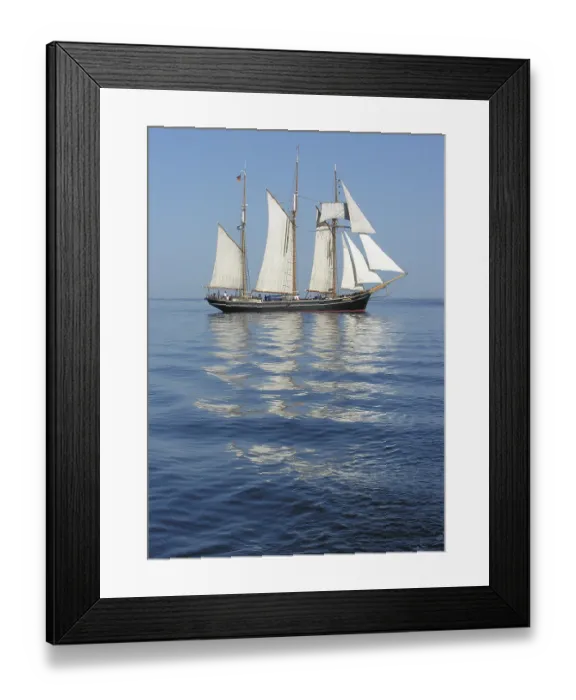 Framed Print : The three-masted topsail schooner Albatros on the Baltic Sea