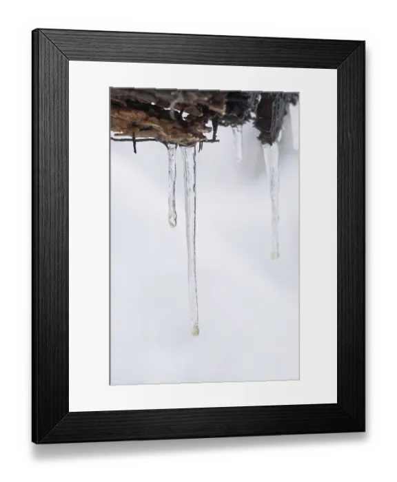 Framed Print : Winter forest, icicles on dead wood